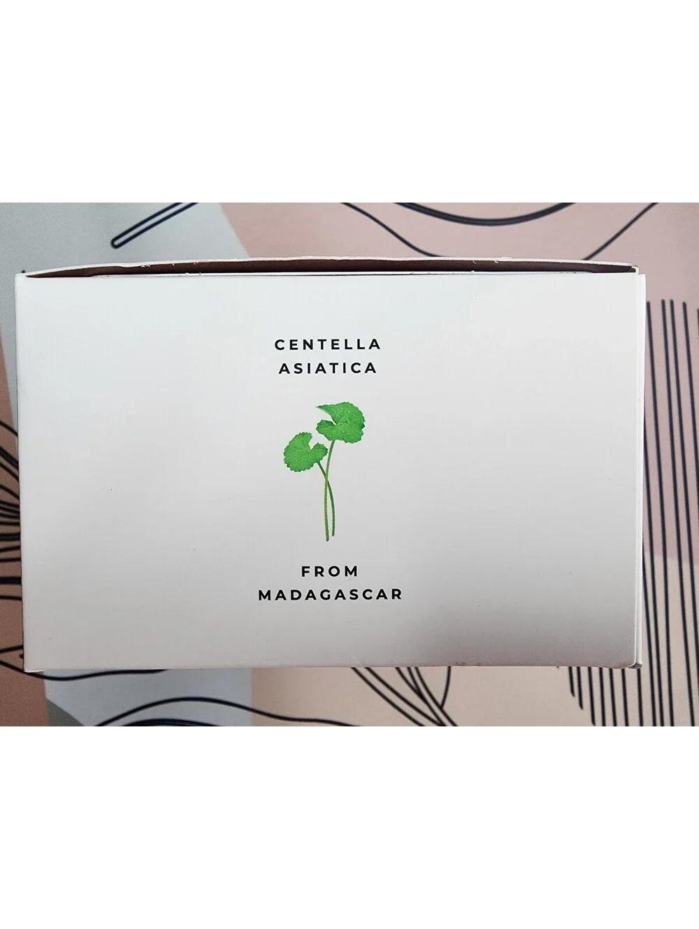 Madagascar Centella ProBio-Cica Enrich Cream - Skin1004 - 1.69 Oz